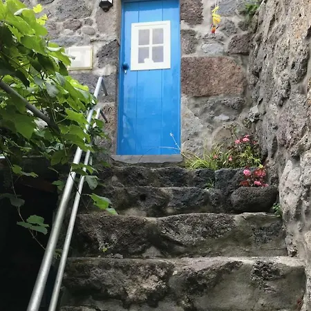 A Casa Do Avo Coelho *