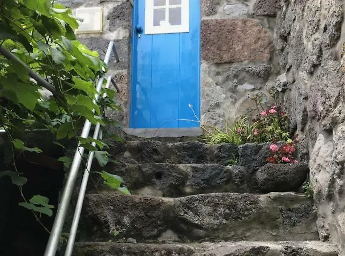 A Casa Do Avo Coelho *